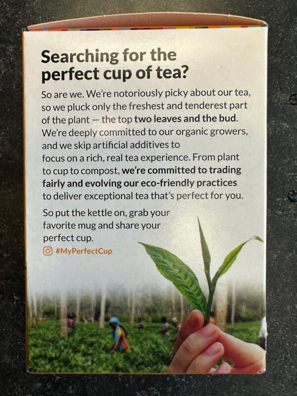 Two Leaves and a bud - Organic Turmeric Antioxidant TEA 04